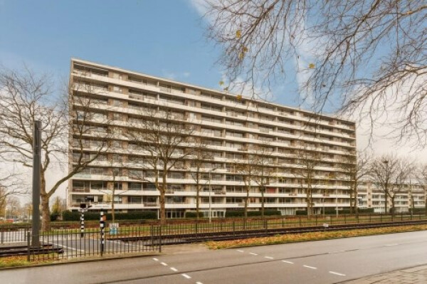Livingstonelaan