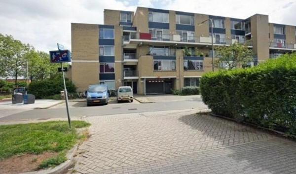 Texel